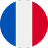 Language Flag
